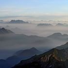 Alles schwankt ins Ungewisse, Nebel schleichen in die Höh ....