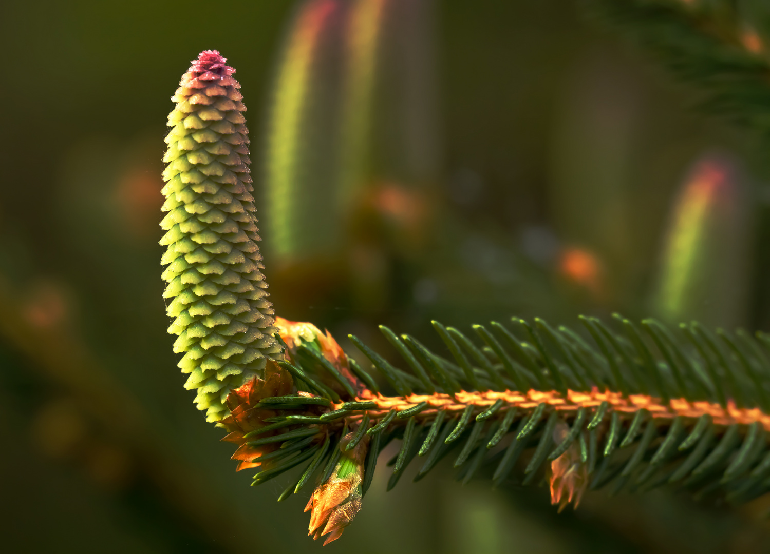 Alles Senkrecht ? Foto &amp; Bild naturmakros, naturkreativ