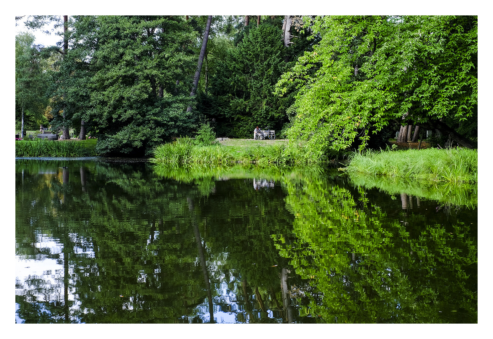 Alles so schön grün hier. Foto & Bild world, hamburg, teich Bilder