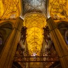 alles strebt nach oben - Catedral de Sevilla (2)