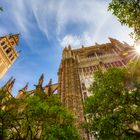 alles strebt nach oben - Catedral de Sevilla (4)