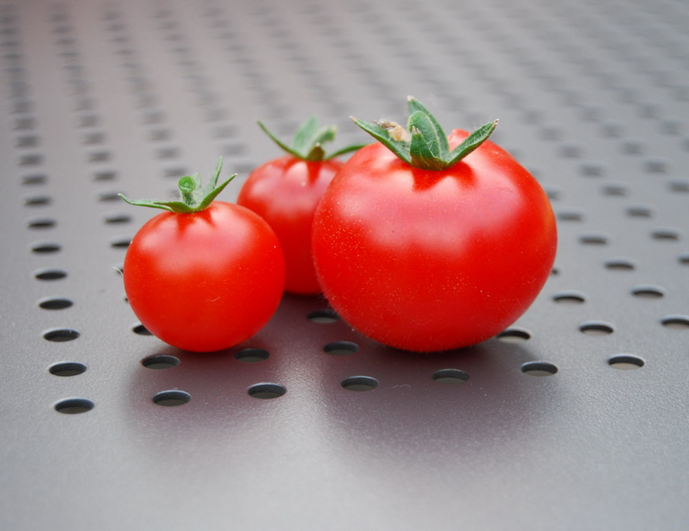 Alles Tomate