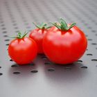 Alles Tomate