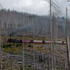 Alles tot und die Brockenbahn lebt