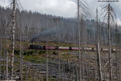 Alles tot und die Brockenbahn lebt