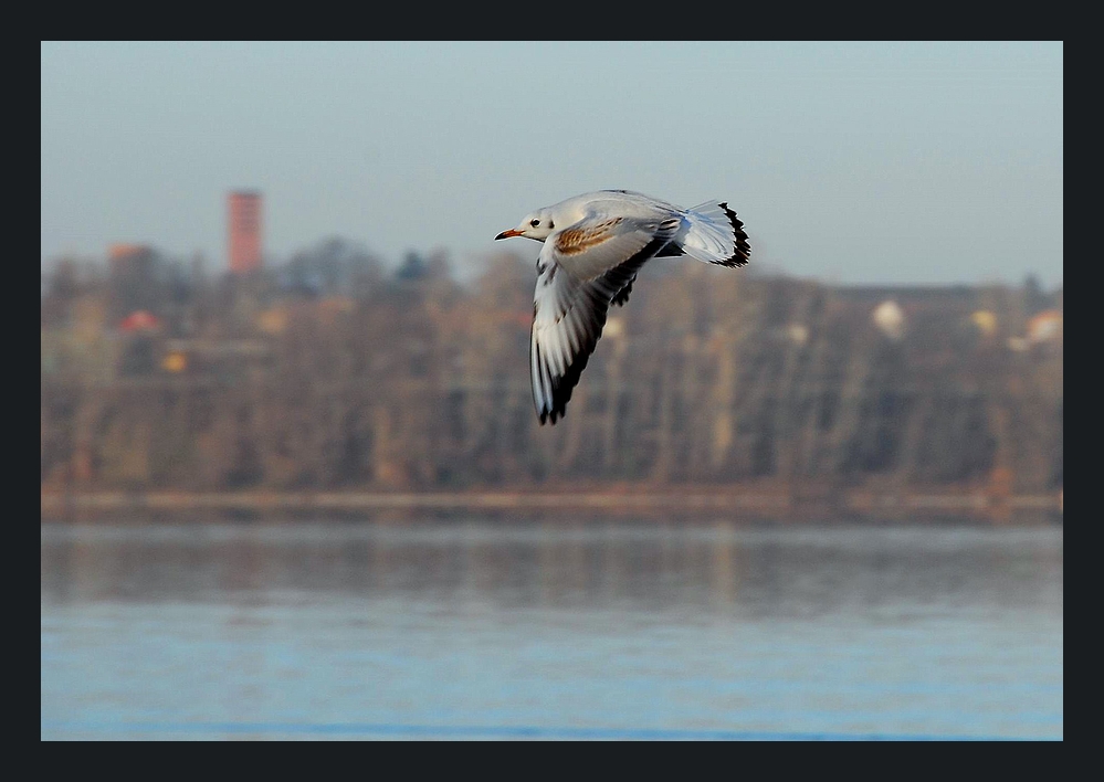 Alles unter Kontrolle am See !