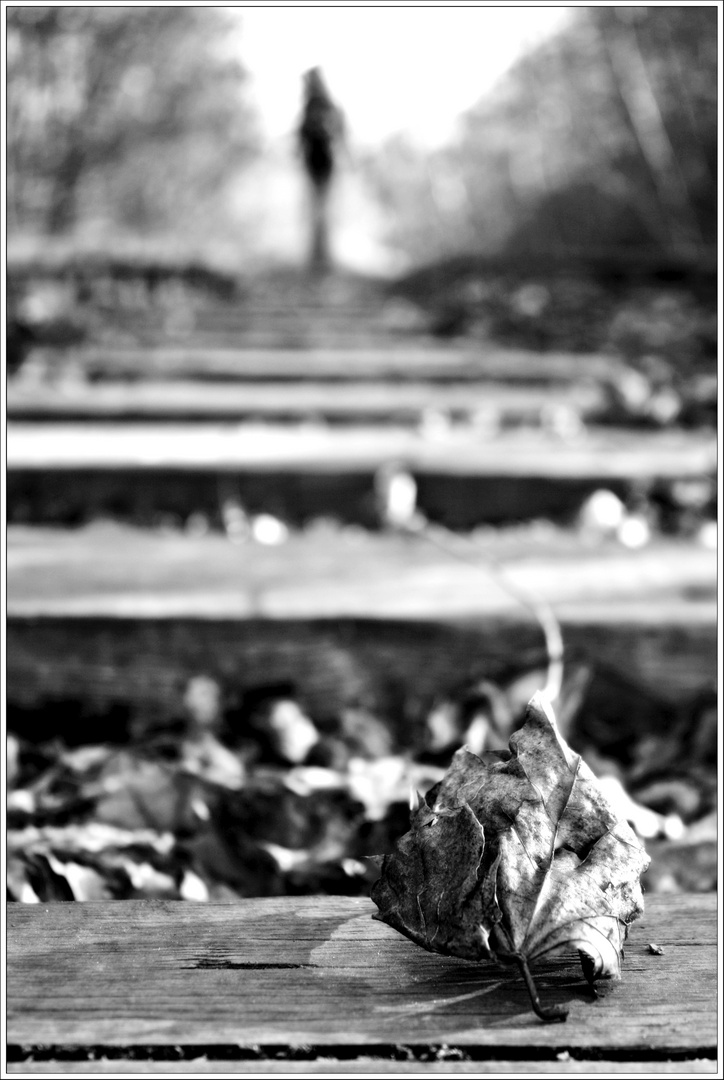 Alles Ist Vergaenglich