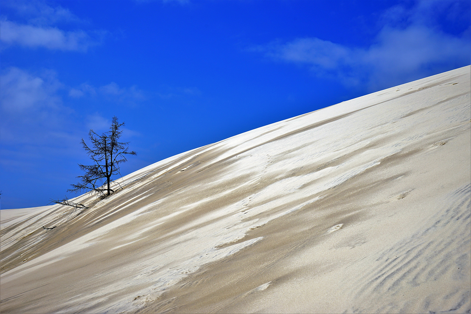 alles verschlingende Wanderdüne