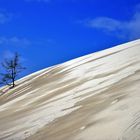 alles verschlingende Wanderdüne