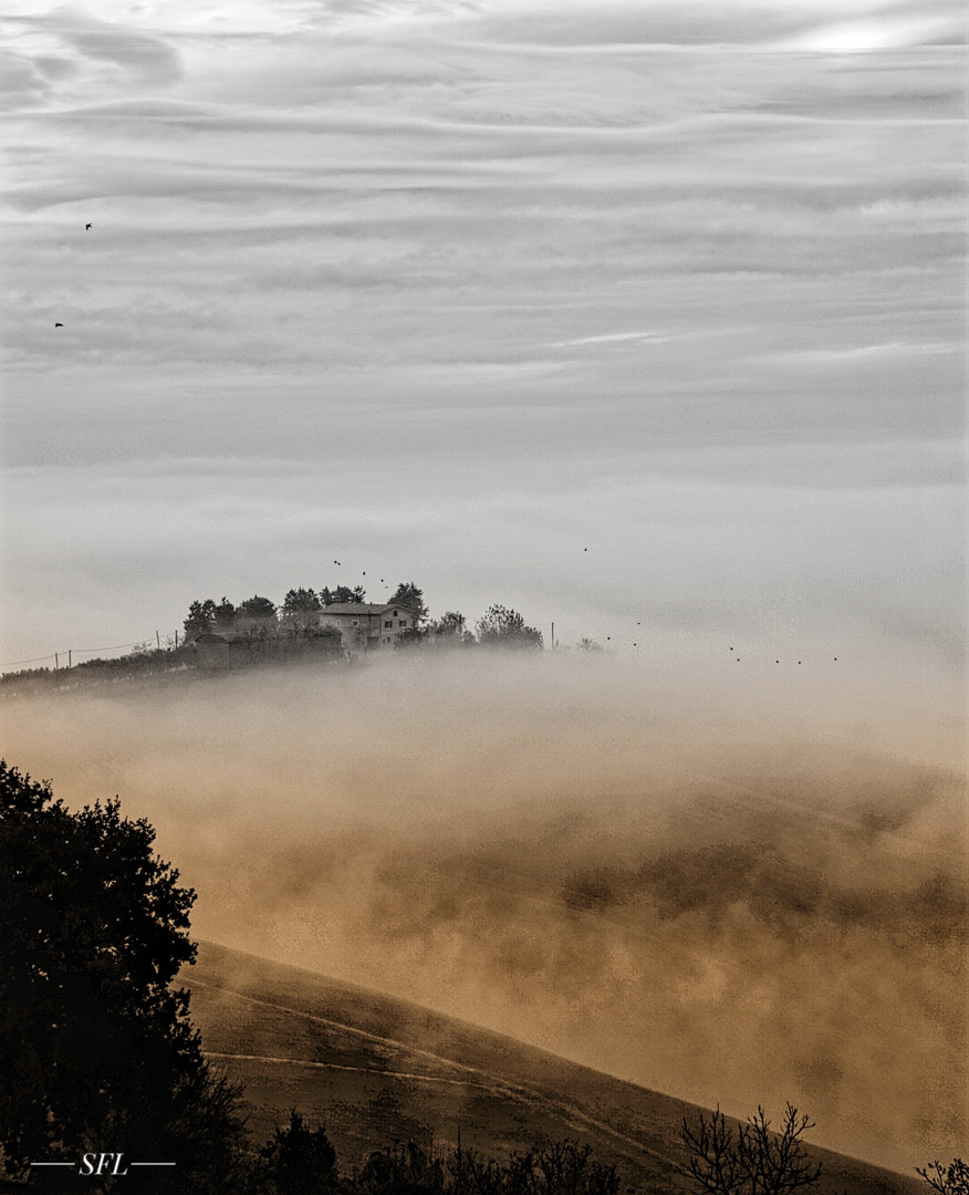 Alles verschwamm im Nebel.