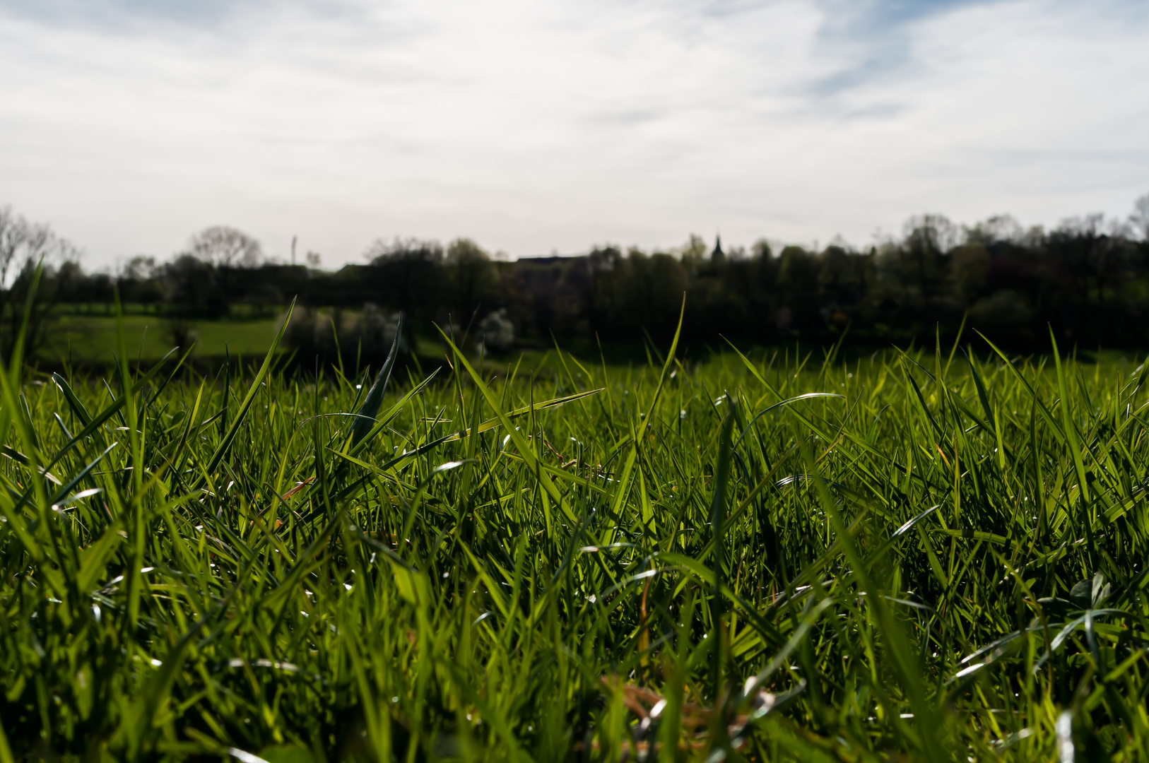 Alles was gegen die Natur ist, hat auf Dauer keinen Bestand.