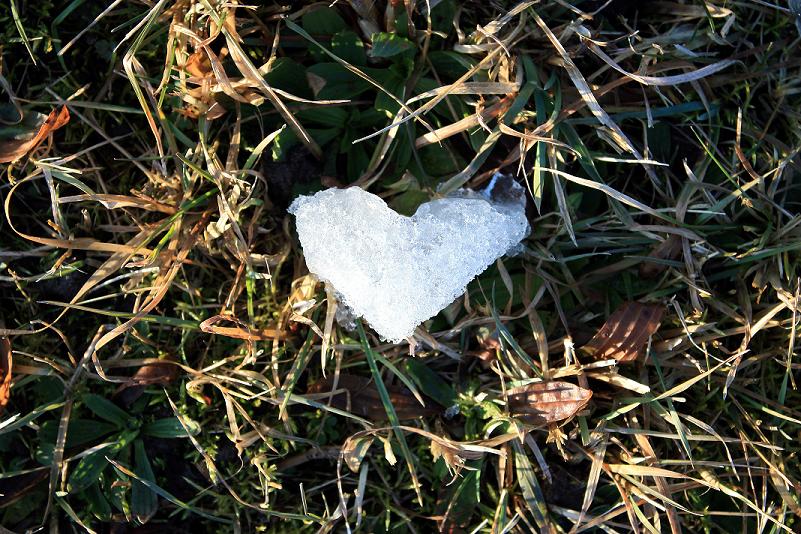 ... alles was vom Winter übrig blieb ...