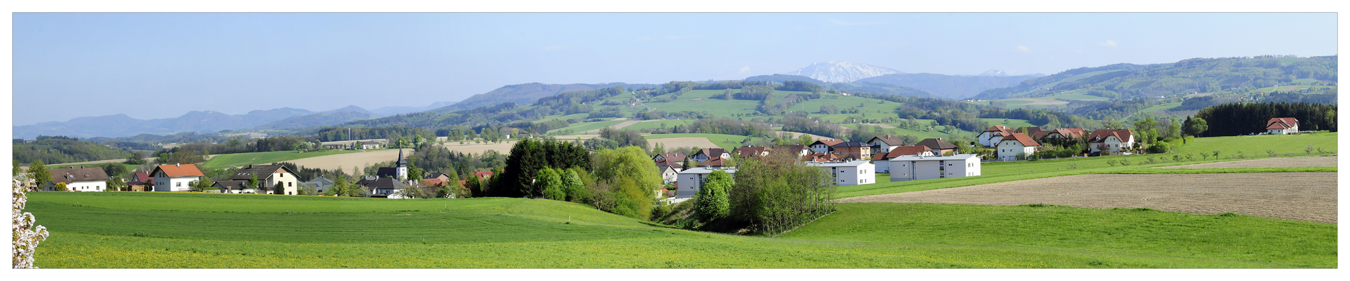 Alles wird wieder grün