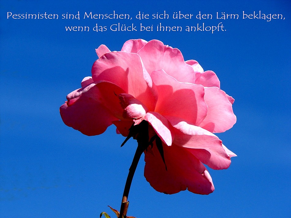 alles zu laut Foto Bild karten und kalender alles zu laut Foto Bild karten und kalender