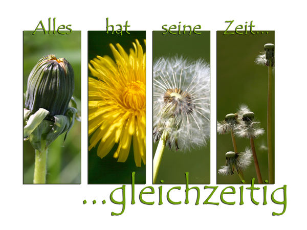 < alles zur gleichen zeit >