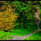 Alley leaves