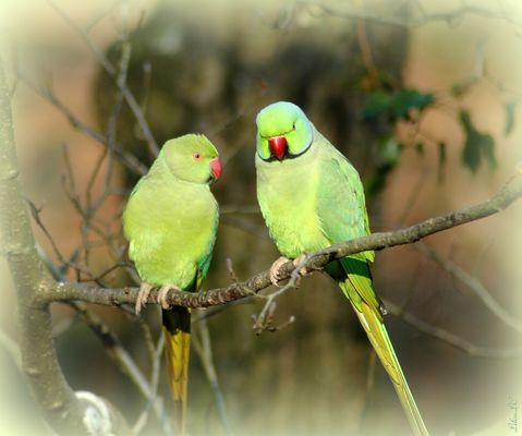 Allez fait pas la tête !!!!!!