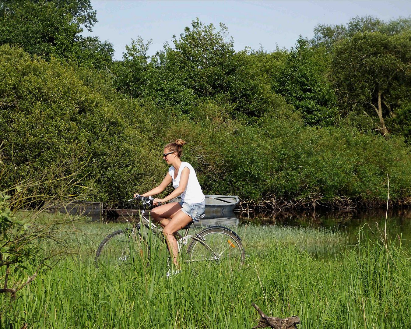 allez, un dernier petit tour de printemps