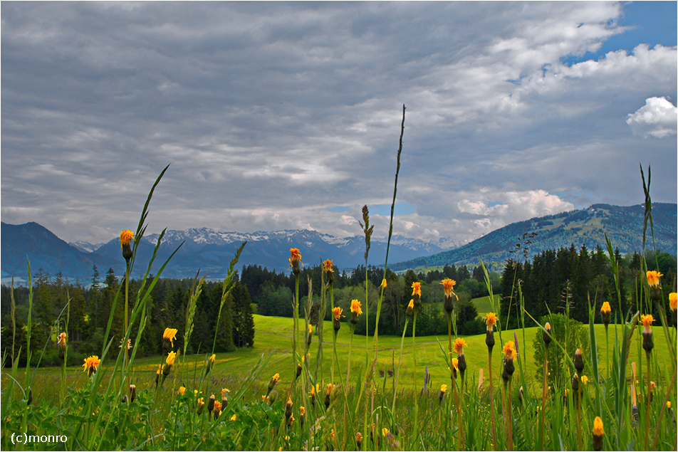 ~ Allgäu~