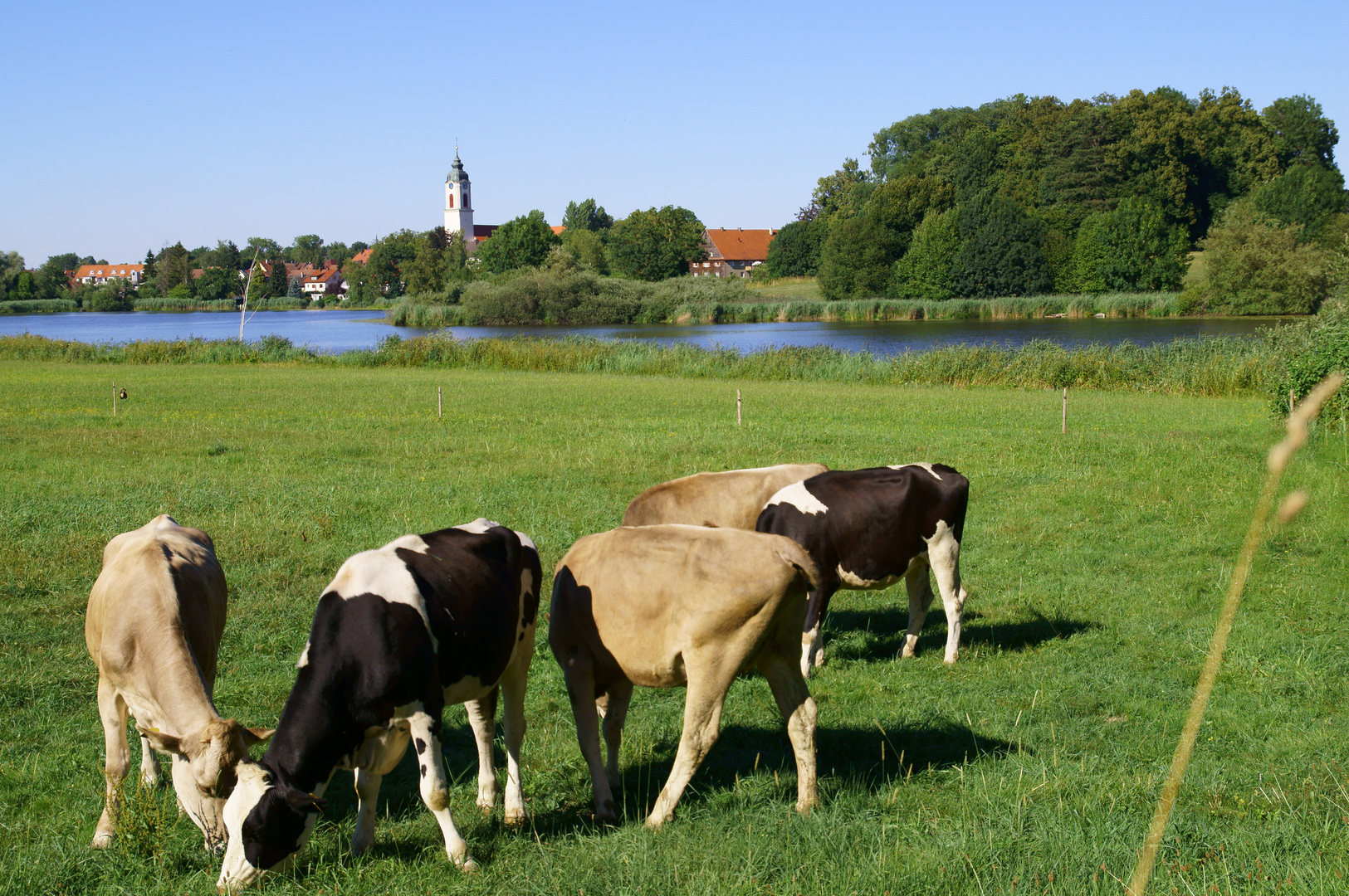 Allgäu