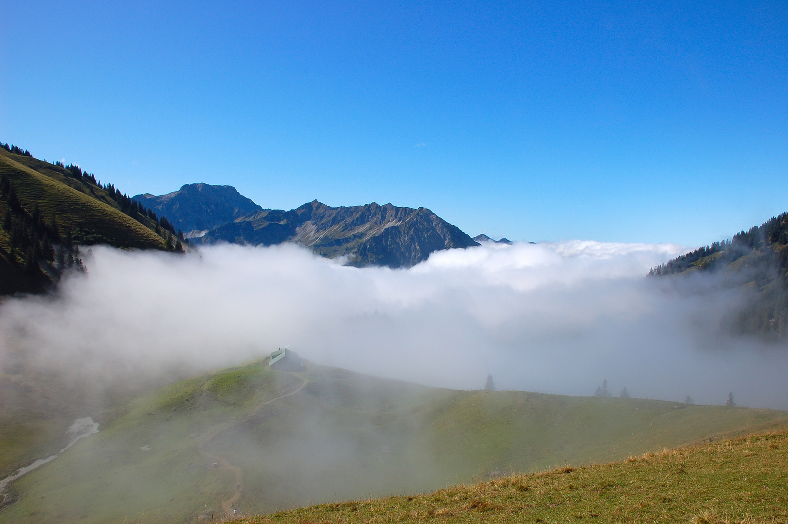 Allgäu 13 StS