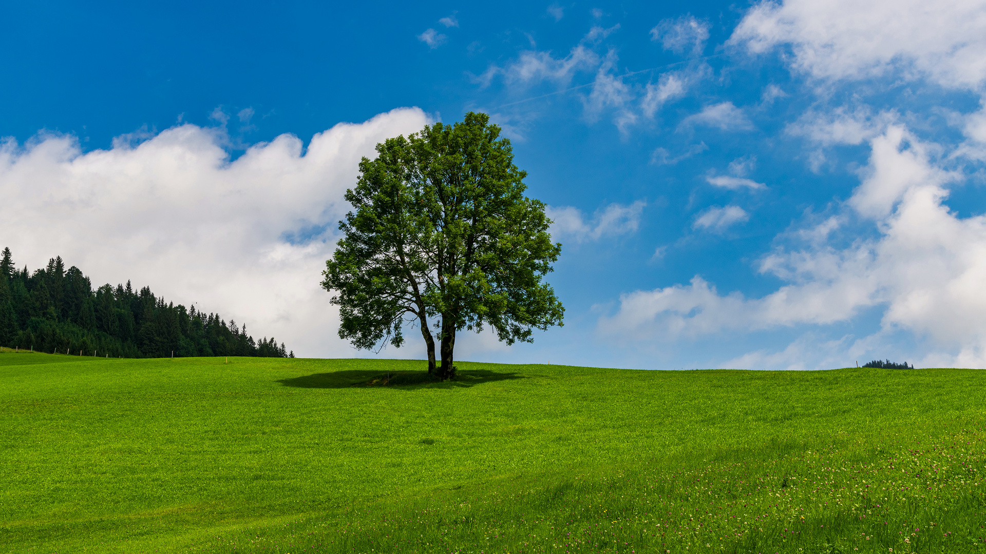 Allgäu 14