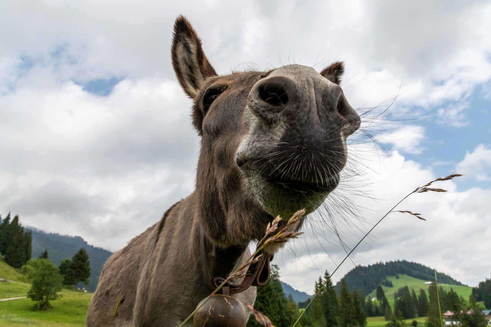 Allgäu 15