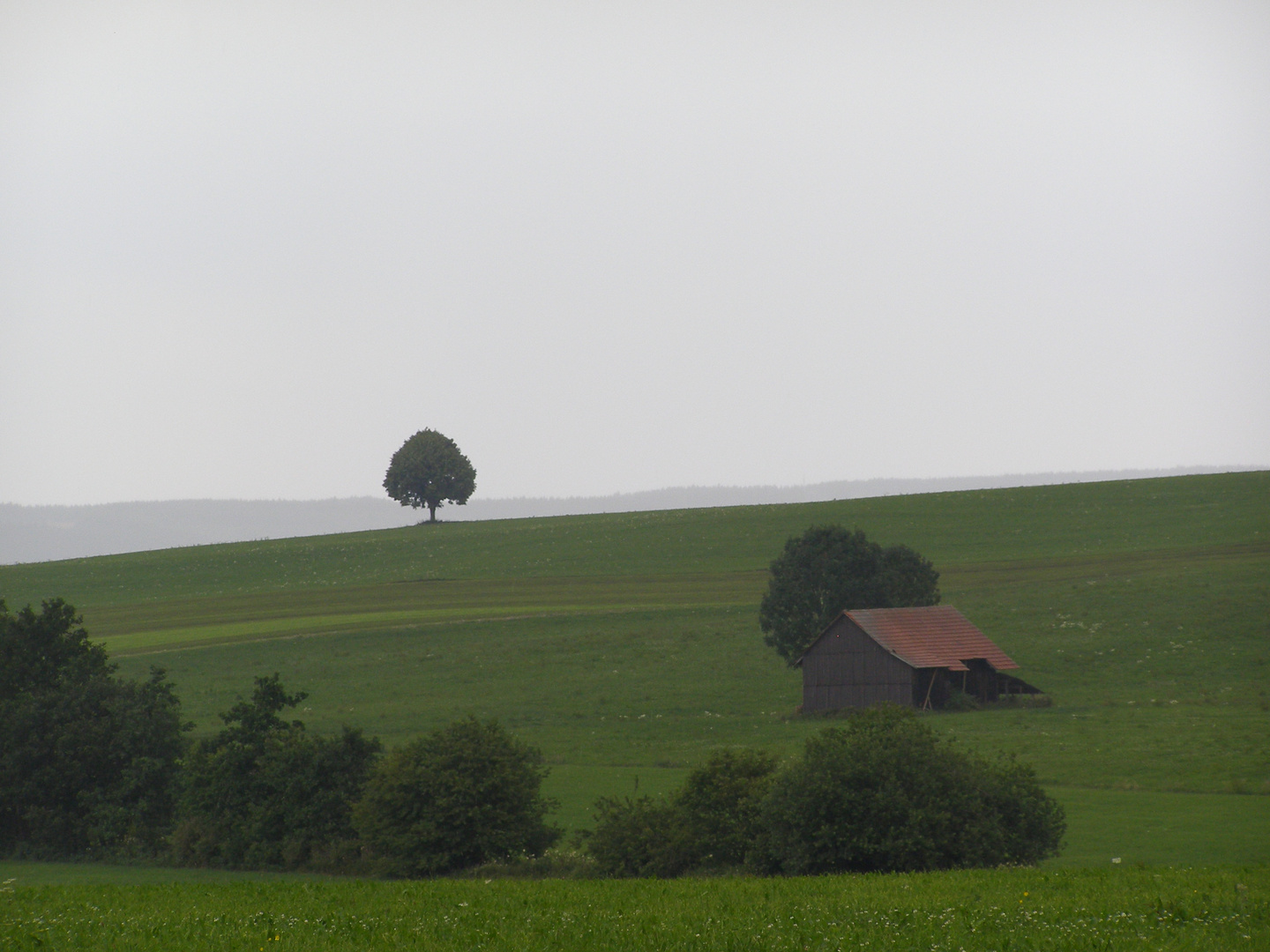 Allgäu 2011