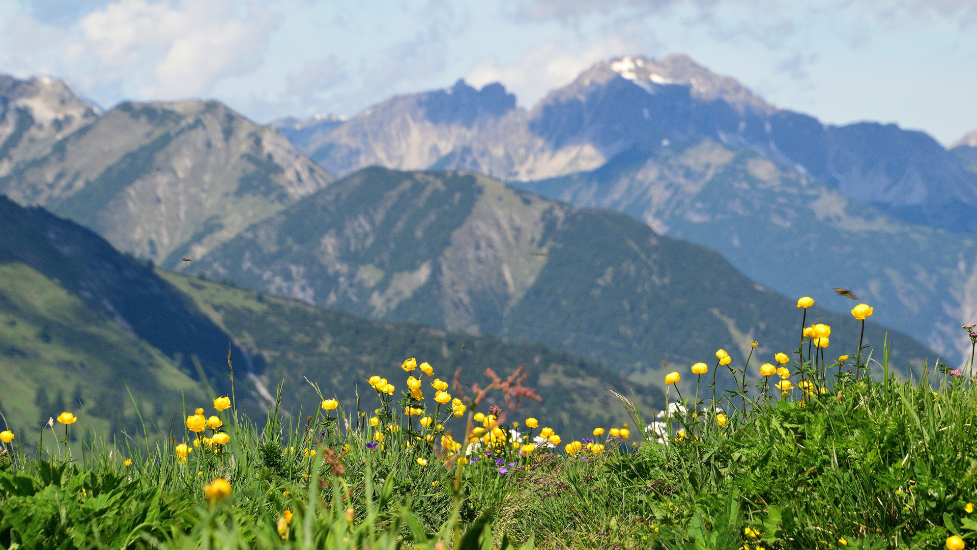 Allgäu