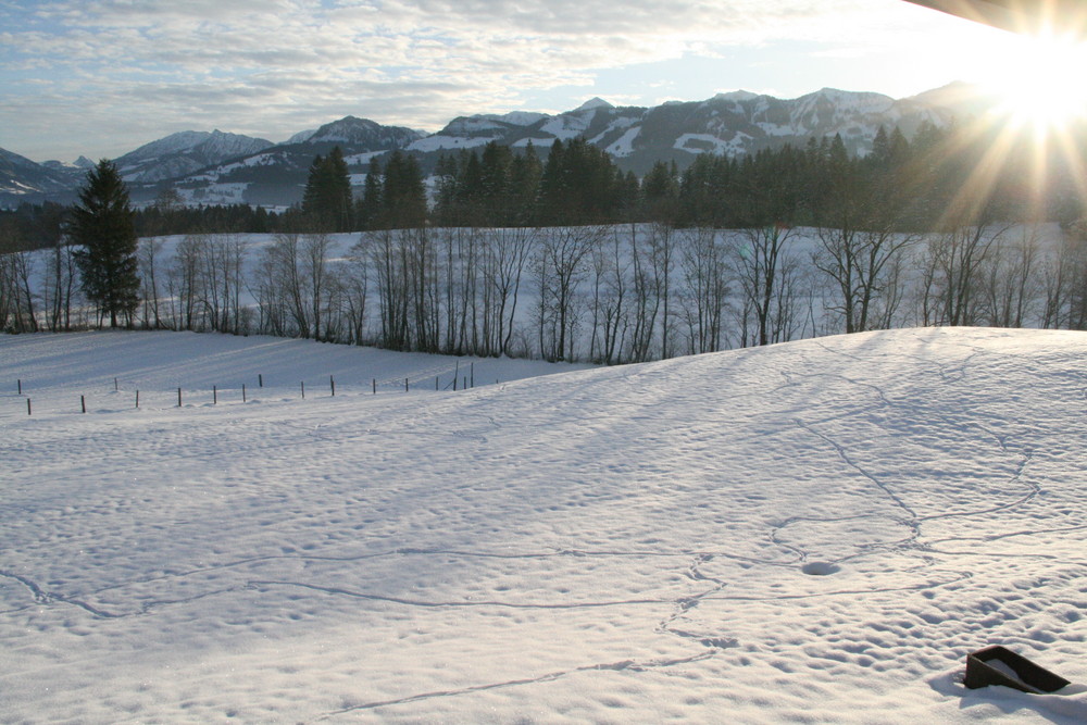 Allgäu