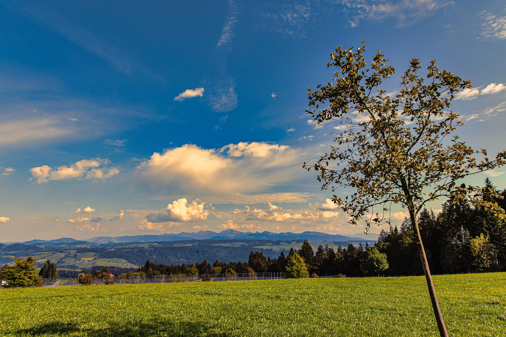 Allgäu