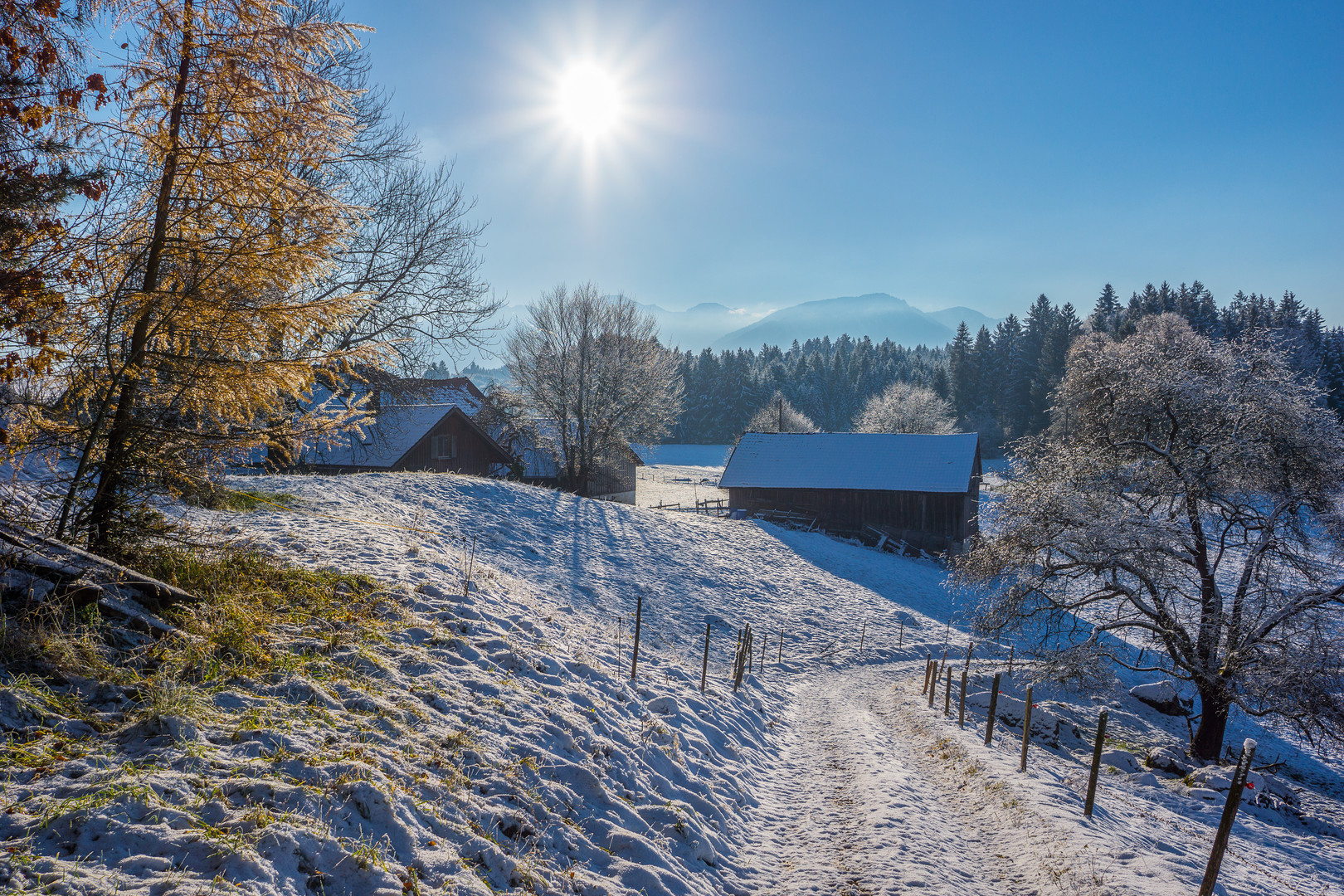 Allgäu