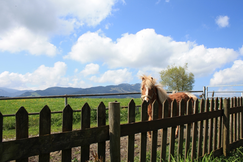 Allgäu