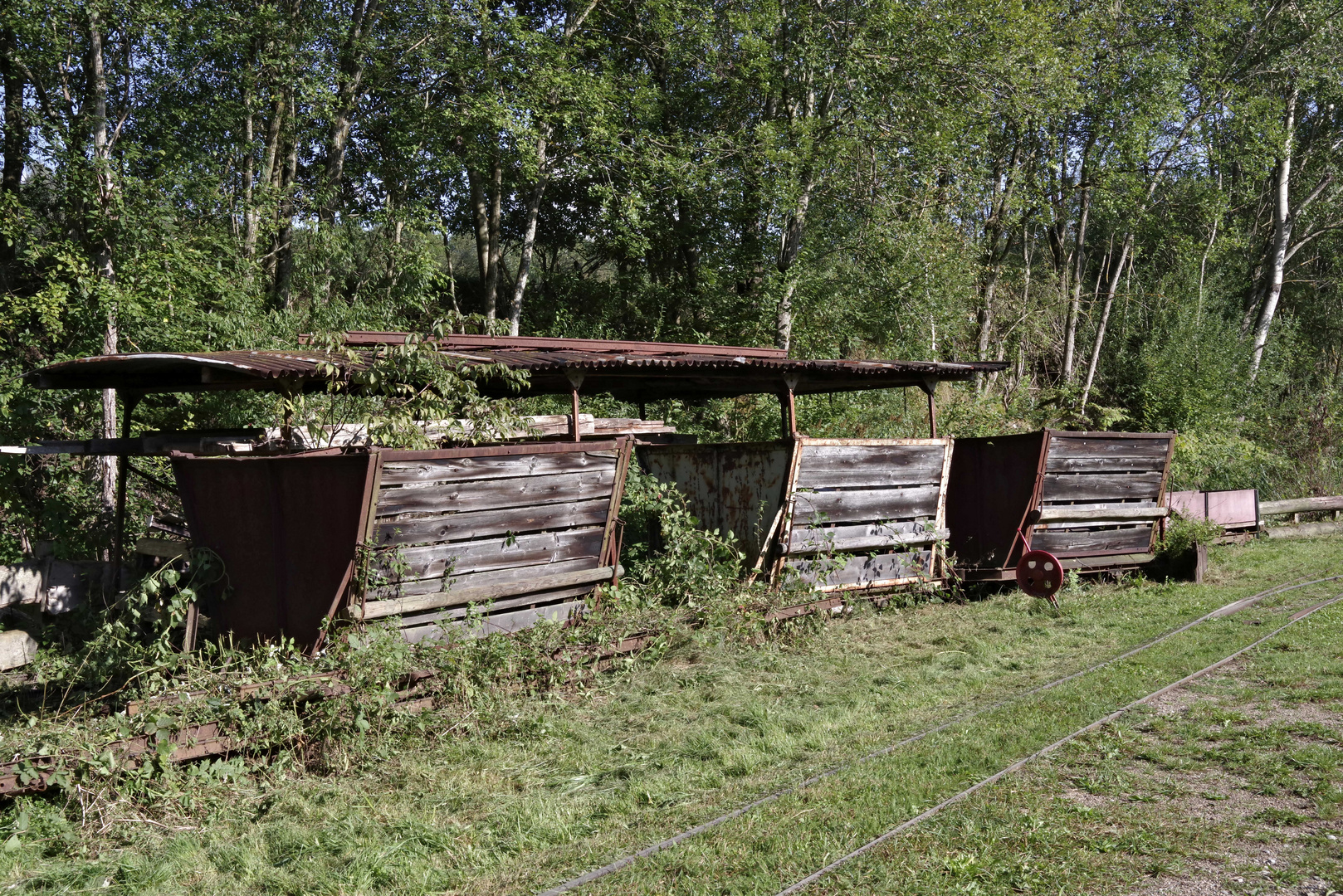 ...Allgäu