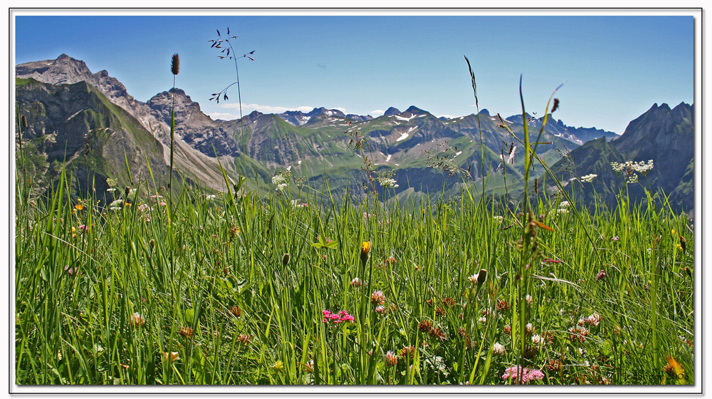 Allgäu