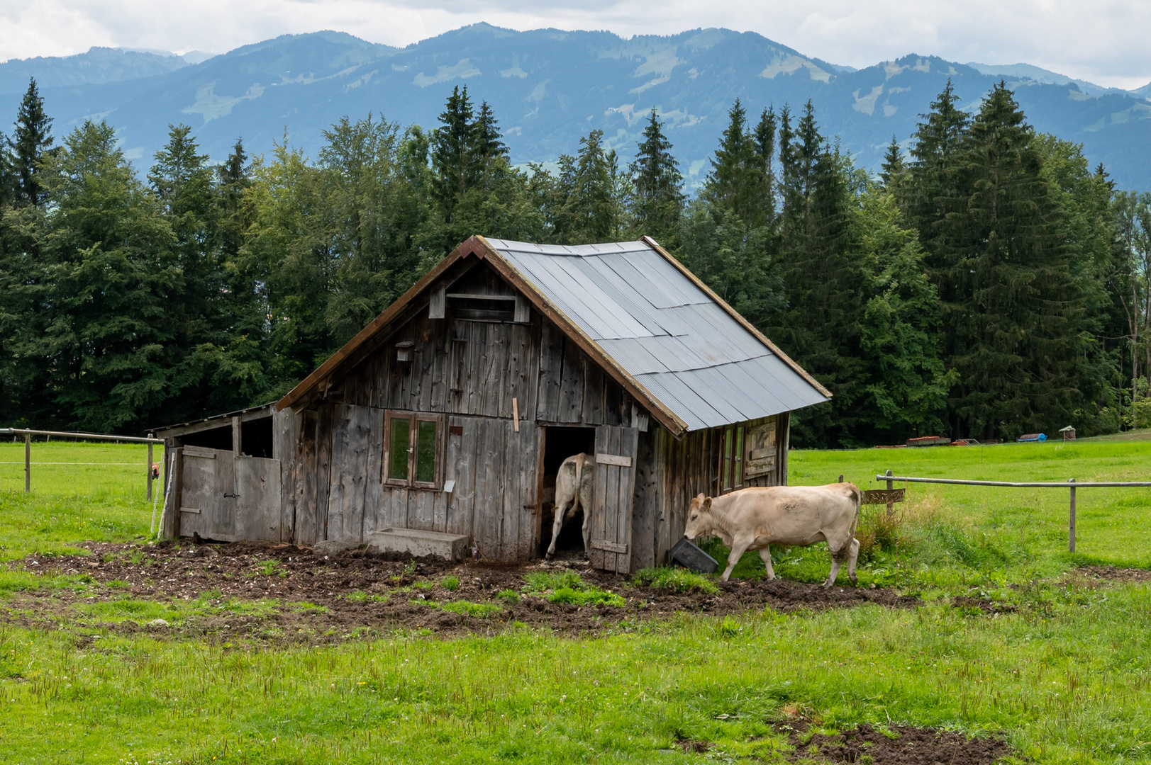 Allgäu 8