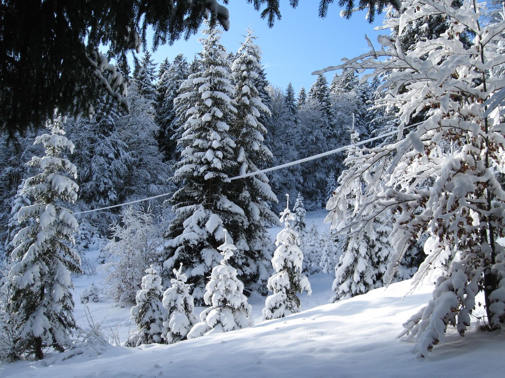 Allgäu