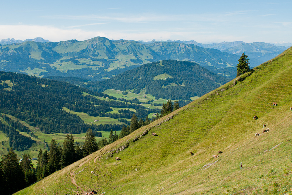 Allgäu