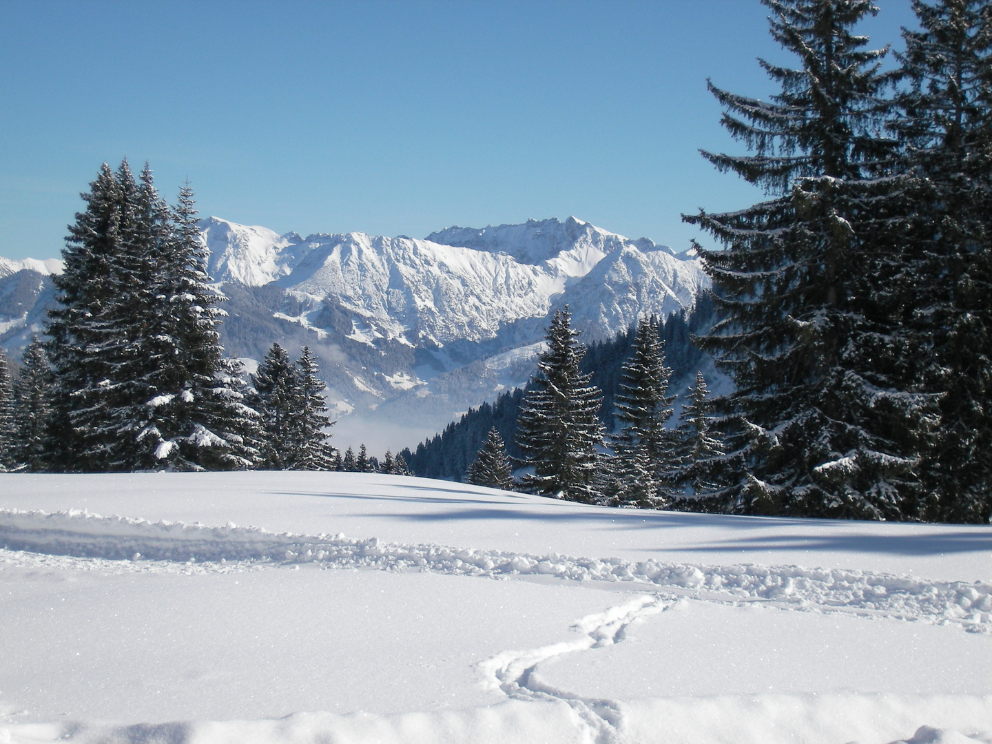 Allgäu bei Bolsterlang