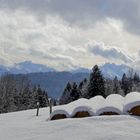 Allgäu-Bergblick