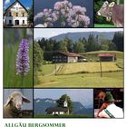 Allgäu Bergsommer