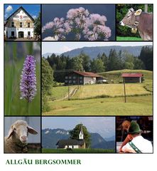 Allgäu Bergsommer