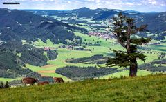 Allgäu - Bilder