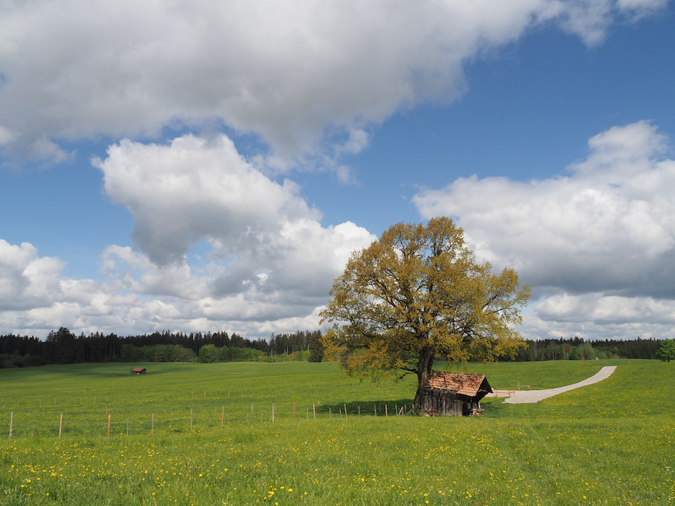 Allgäu