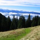 Allgäu