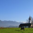 Allgäu