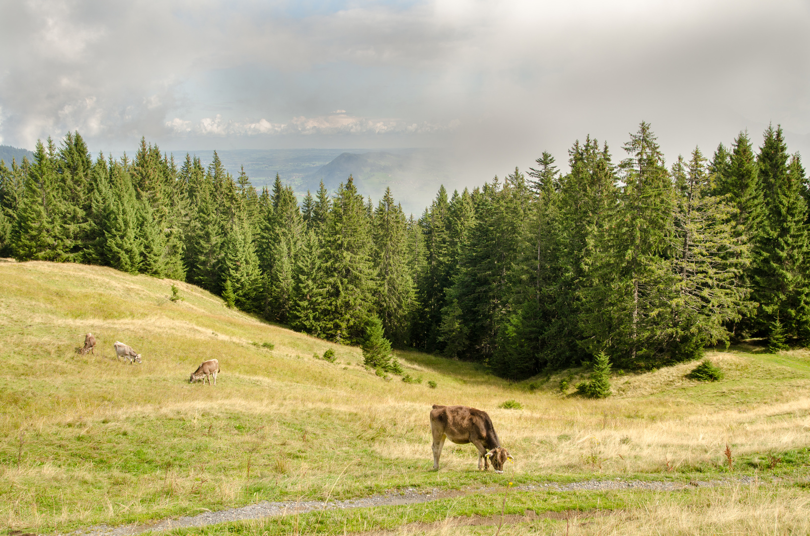 Allgäu