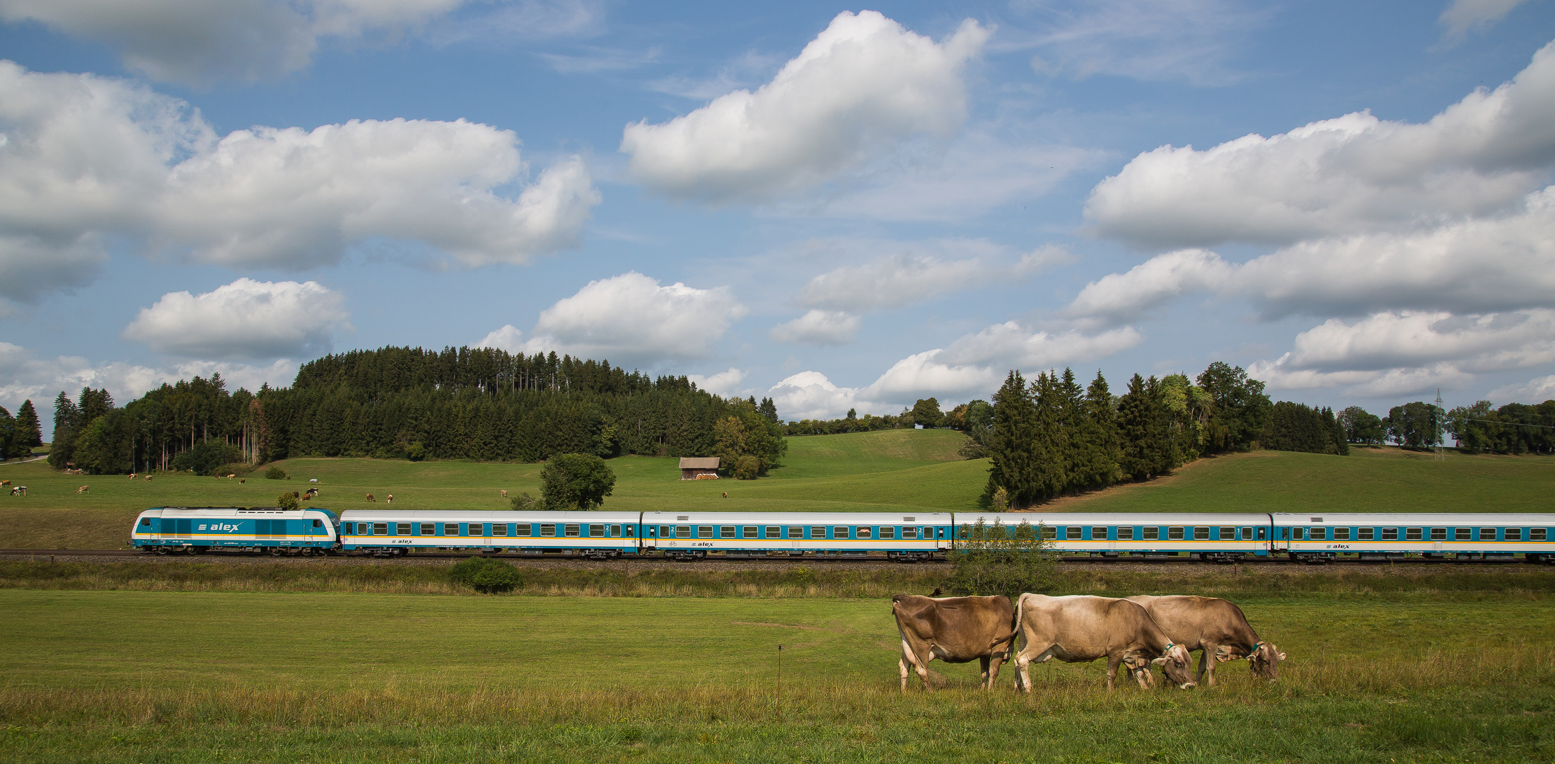 Allgäu-Express (14)