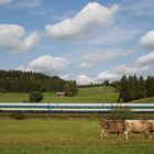 Allgäu-Express (14)