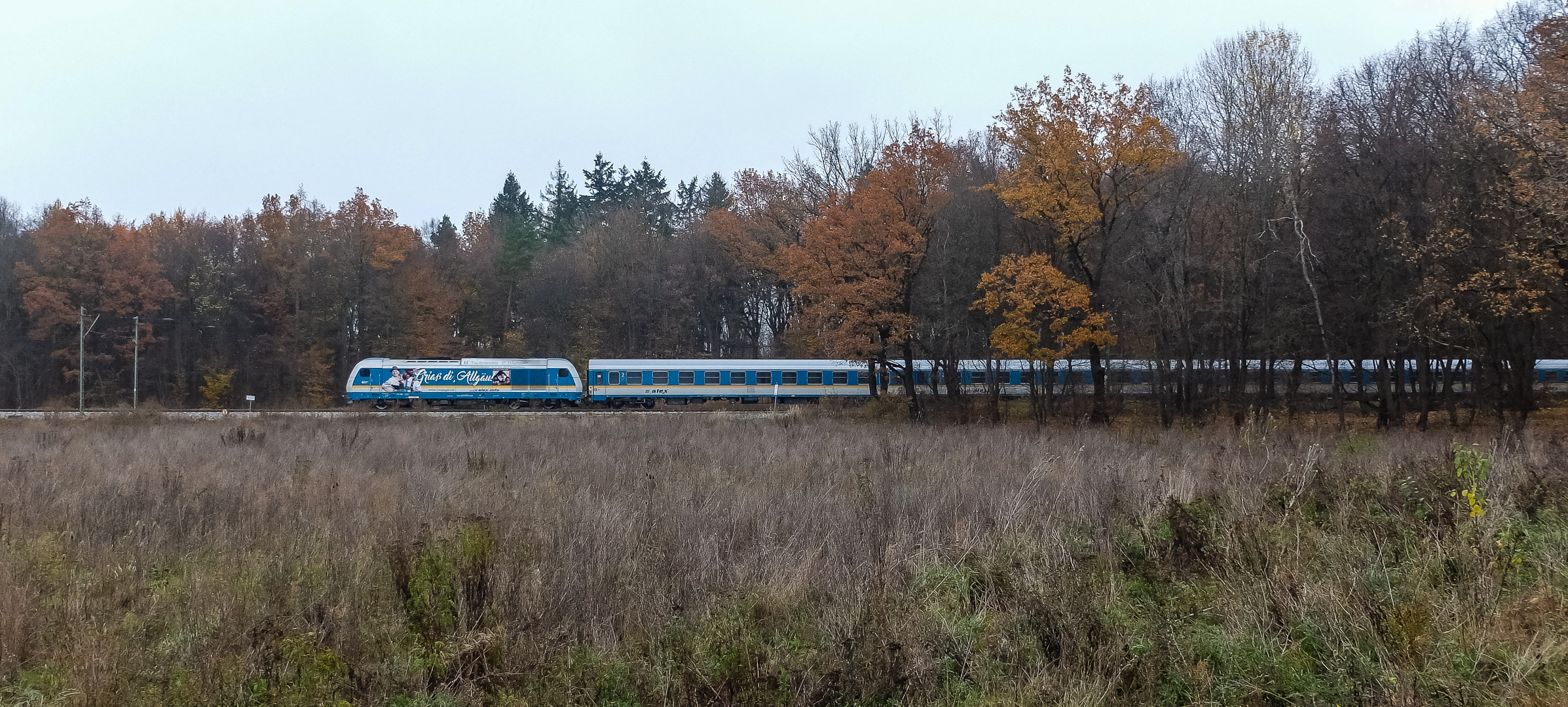 Allgäu-Express (22)